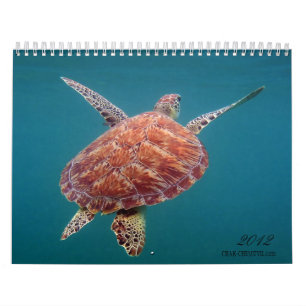Calendário de México do Maya de Riviera