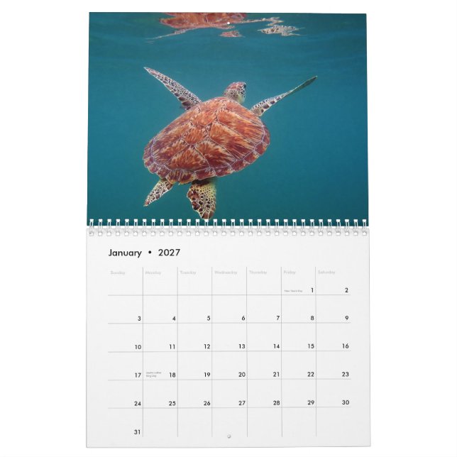 Calendário de México do Maya de Riviera (Jan 2027)