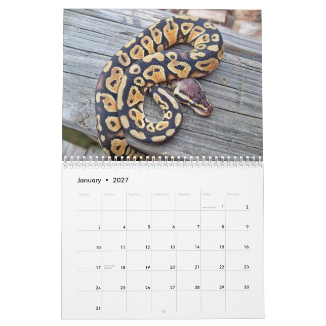 Calendário de MightyMorphs (Jan 2027)