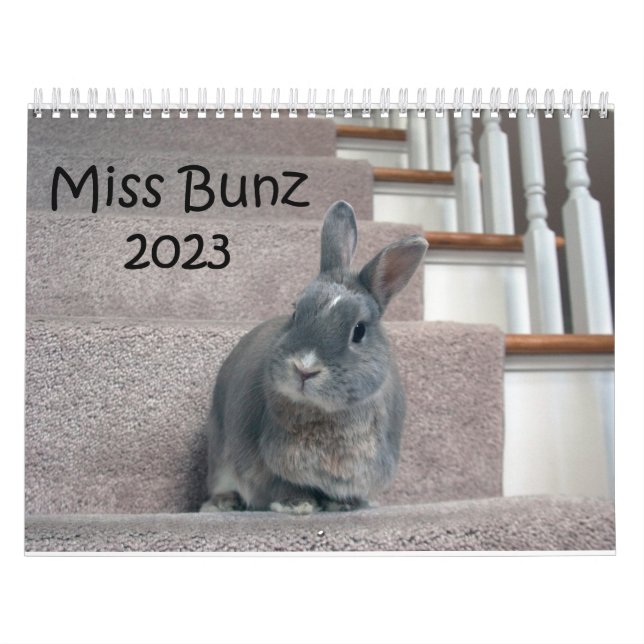 Calendário de Miss Bunz 2023 (Capa)
