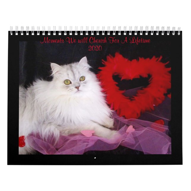 Calendário de momentos especiais do iCatz (Capa)