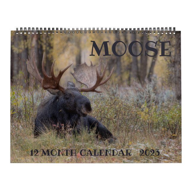 Calendário de Moose - Tamanho Grande (Capa)