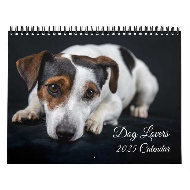Calendário de Movimentações de Cachorro (Capa)