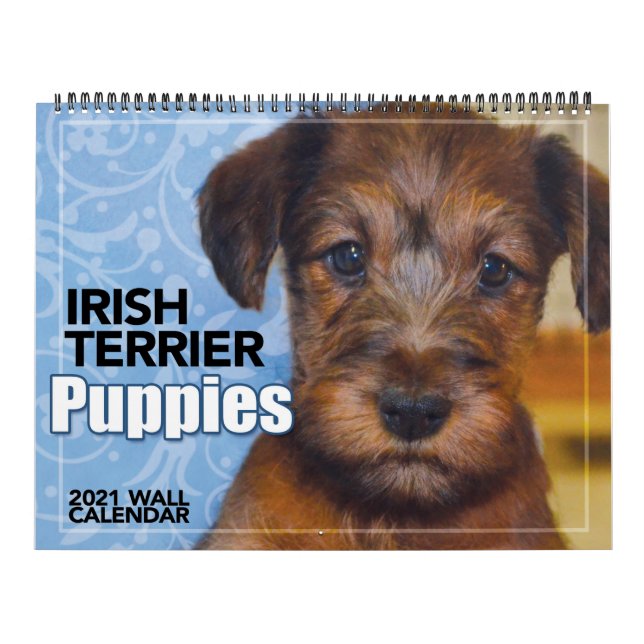 Calendário de Muro de 2021 dos Irlandeses Terrier  (Capa)