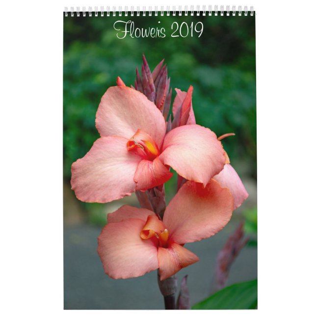Calendário de Muro de Flores de 2019 por Lisa Blak (Capa)