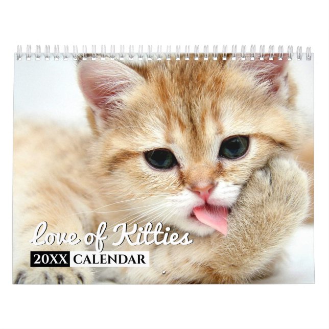 Calendário de Muro de Fotografias de Gatinhos (Capa)