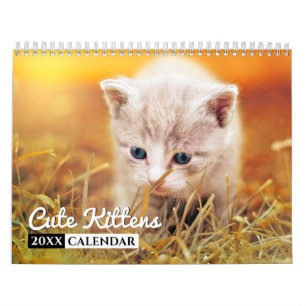 Calendário de Muro de Fotos de Gatinhos Frescos
