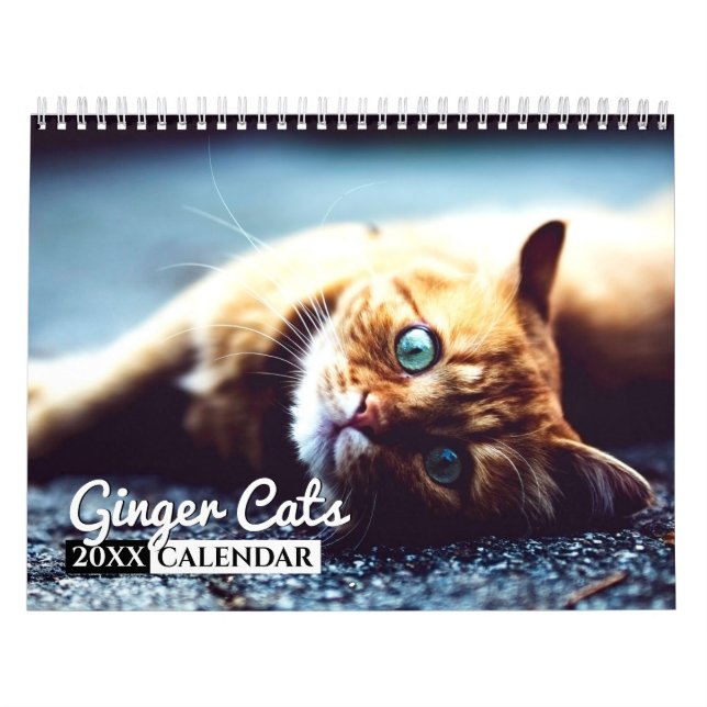 Calendário de Muro de Fotos de Ginger Cats (Capa)