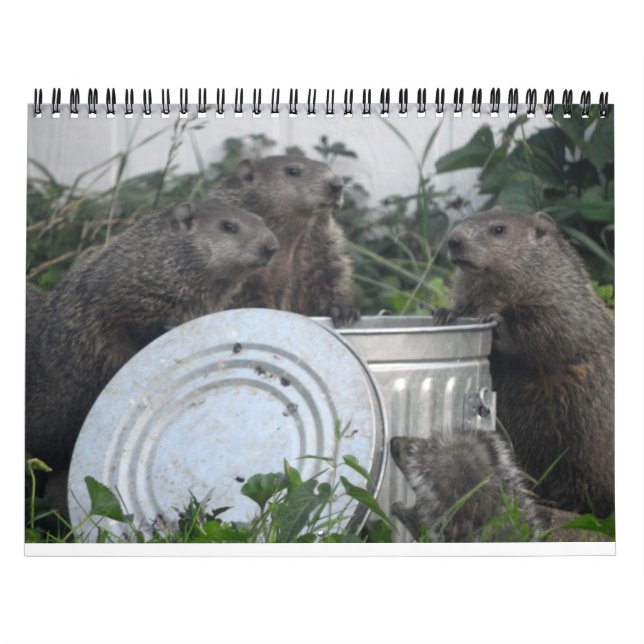 Calendário de Muro de Fotos Groundhog 2022 (Capa)