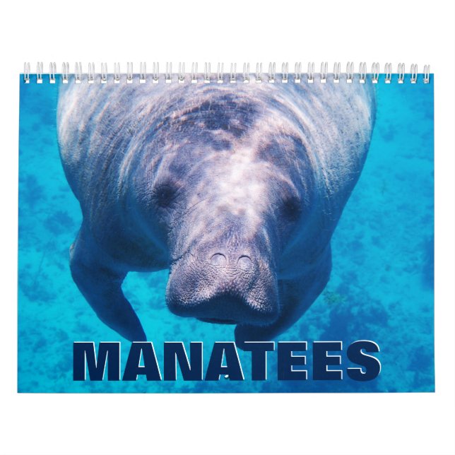Calendário de Muro do Manatees (Capa)
