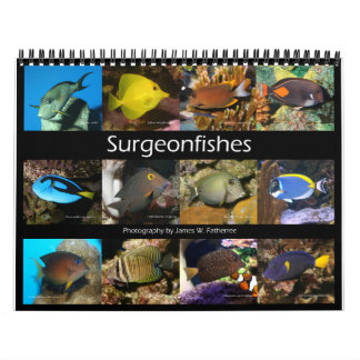 Calendário de Muros de Surgeonfishes por J.W. Pai.