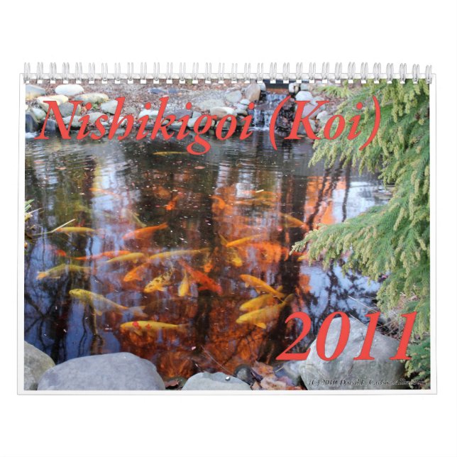 Calendário de Nishikigoi (Koi), 2011 (Capa)
