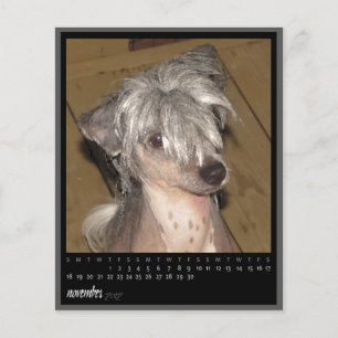 calendário de novembro de 2012