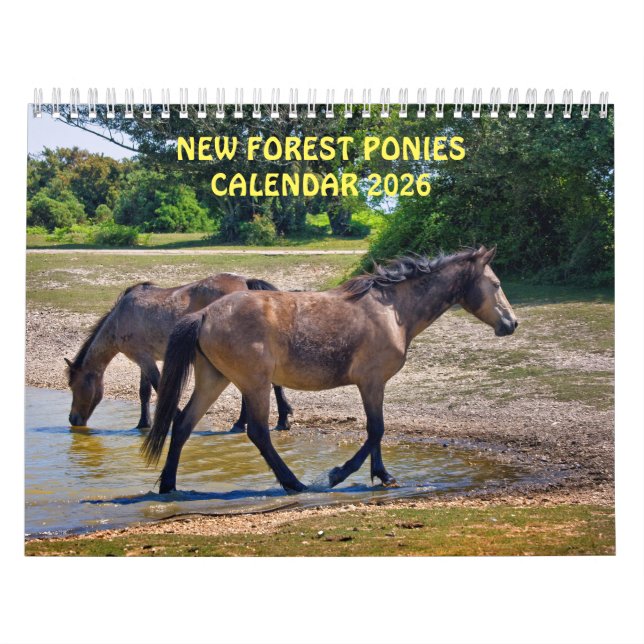 Calendário de Novos Pôs Florestais (Capa)