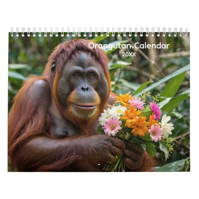 Calendário de Orangutan da Floresta (Capa)
