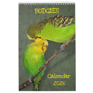 Calendário de Orçamentos