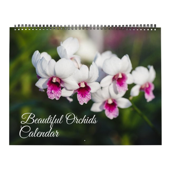 Calendário de Orquídeas de Grande Tamanho (Capa)