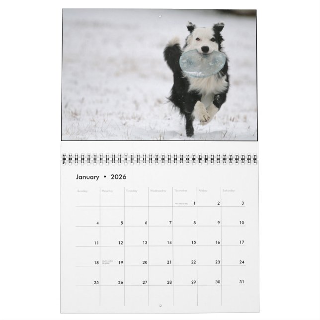 Calendário de Ouzo 2010 (Jan 2026)