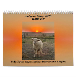 Calendário de Ovelhas Babydoll Southdown 2026 NABS
