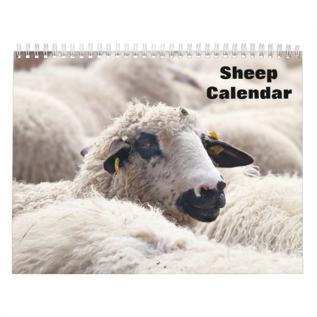 Calendário de ovinos 2026 (Capa)