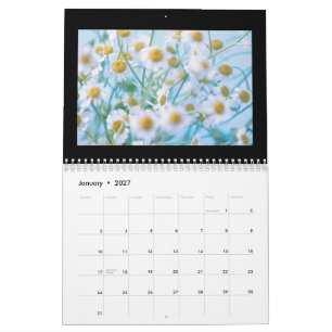Calendário de paisagens de quedas d'água das praia