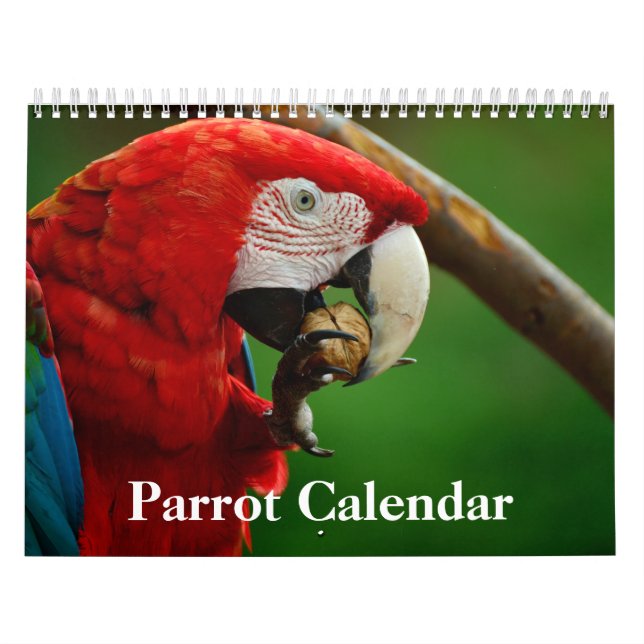 Calendário de Papagaio 2027 (Capa)