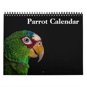 Calendário de Papagaio 2027