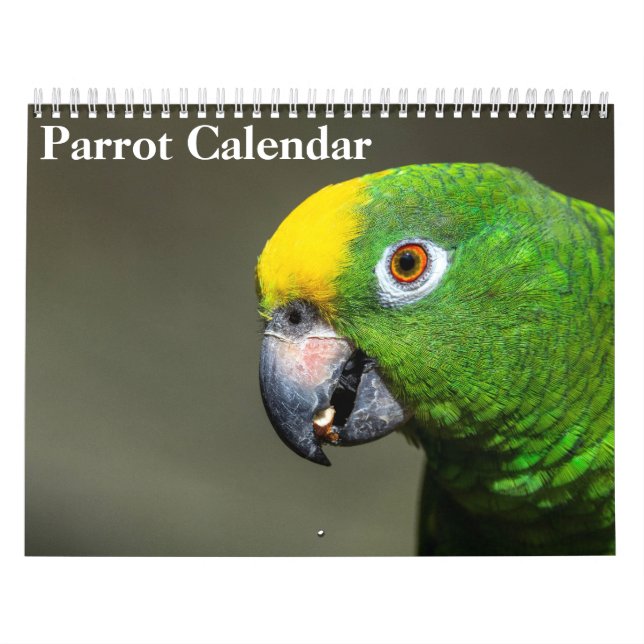 Calendário de Papagaios 2026 (Capa)