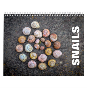 Calendário de Parede 2022 do Snails