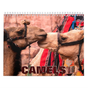 Calendário de Parede 2022 dos Camelos
