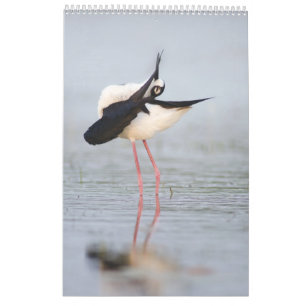 Calendário de Parede 2023 Bela Aves