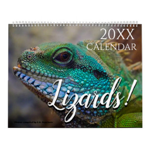 Calendário de Parede 2027 com Tema de Lagarto Pres