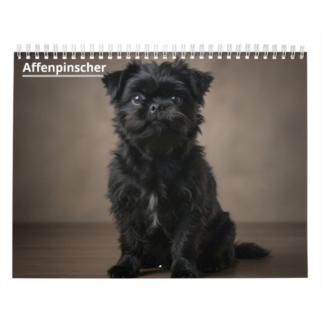 Calendário de Parede Affenpinscher. (Capa)
