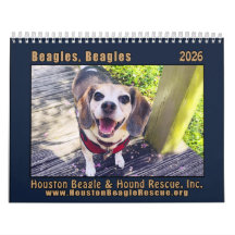 Calendário de parede Beagles Beagles 2026