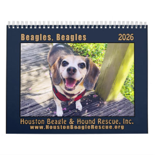 Calendário de parede Beagles Beagles 2026
