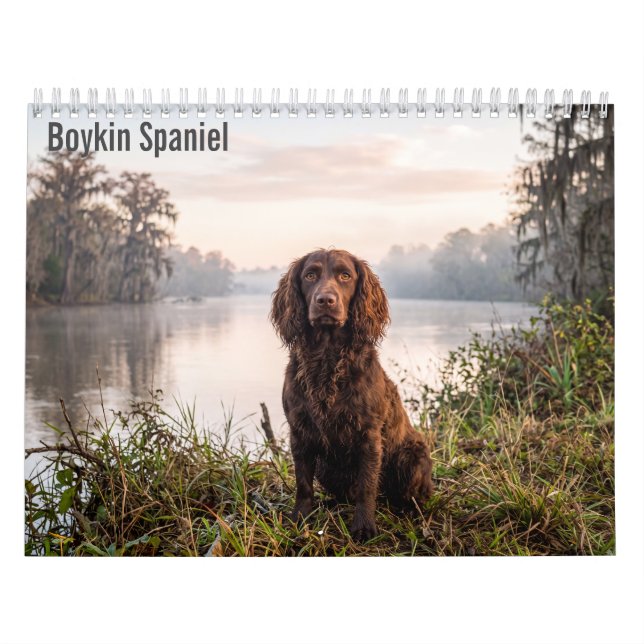 Calendário de parede Boykin Spaniel 2027 (Capa)