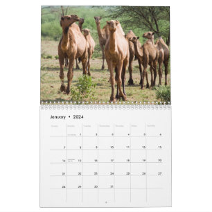 Calendário de Parede Camel