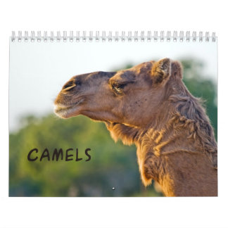 Calendário de Parede CAMELS