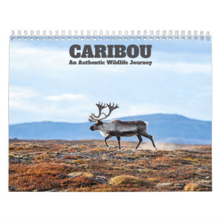 Calendário de Parede Caribou 2027
