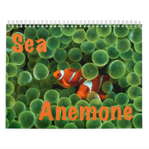 Calendário de parede da anêmona de mar