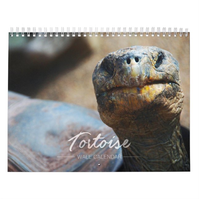 Calendário de parede da tartaruga (Capa)
