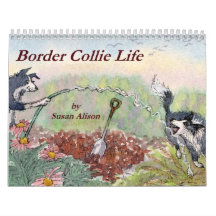 Calendário de parede da vida de border collie