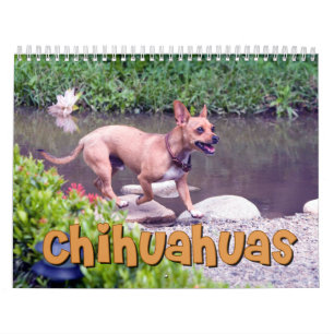 Calendário de parede das chihuahuas