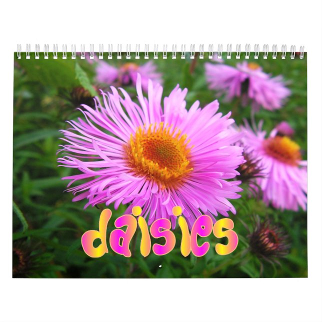 Calendário de parede das margaridas (Capa)