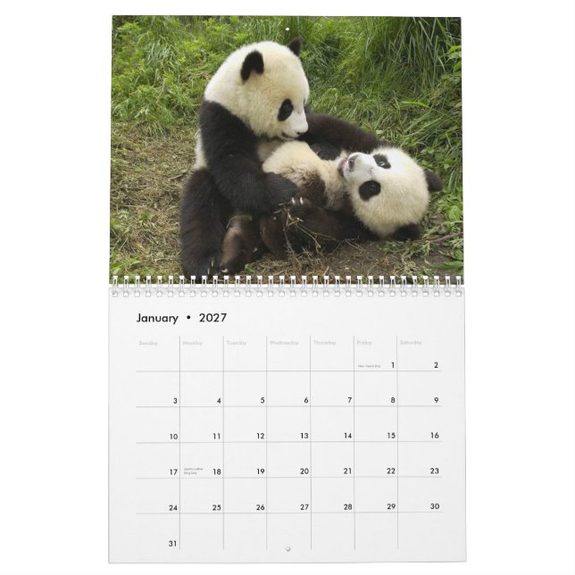 Calendário de parede das pandas (Jan 2027)