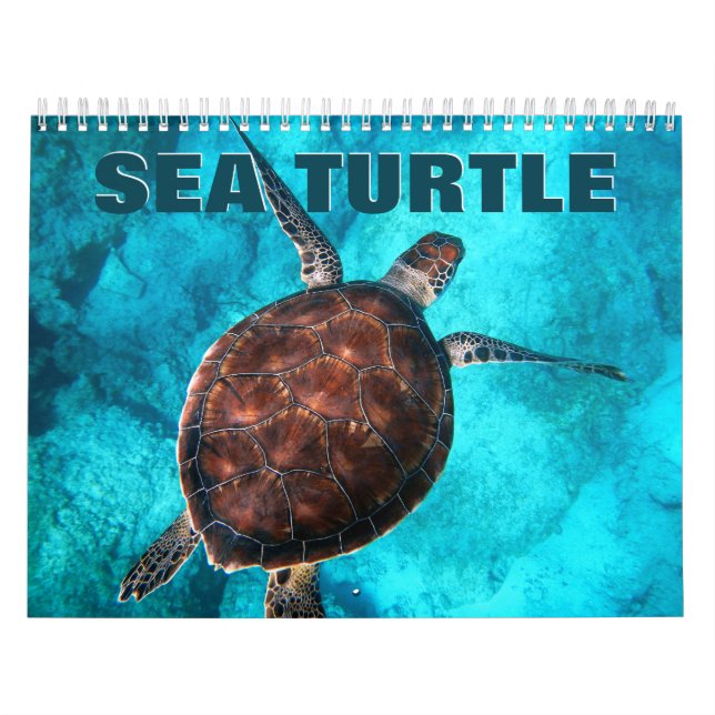 Calendário de Parede das Tartarugas do Mar (Capa)