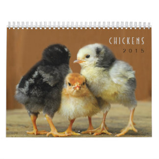 Calendário de parede de 2015 galinhas