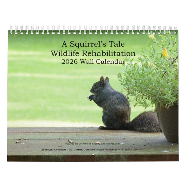 Calendário de Parede de 2026: Um Conto de Esquilo (Capa)