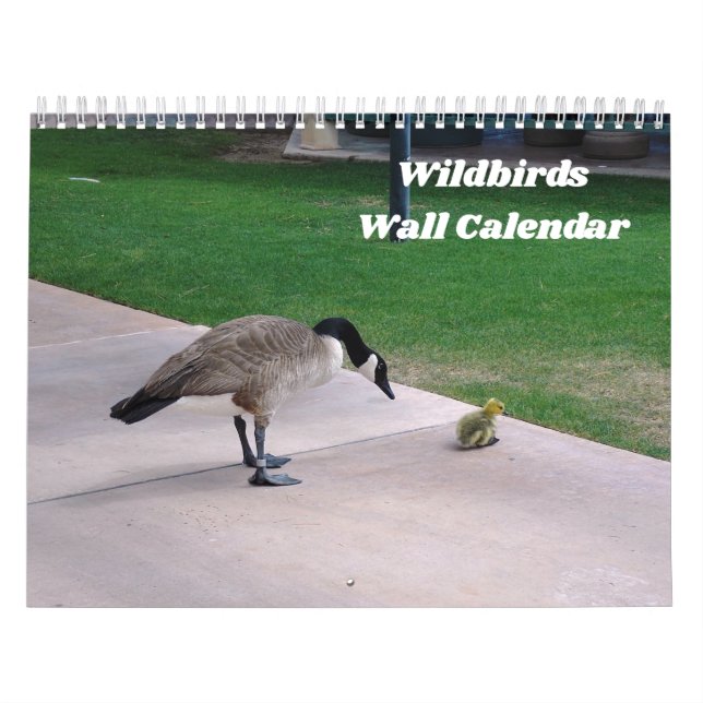 Calendário de Parede de Aves Selvagens (Capa)