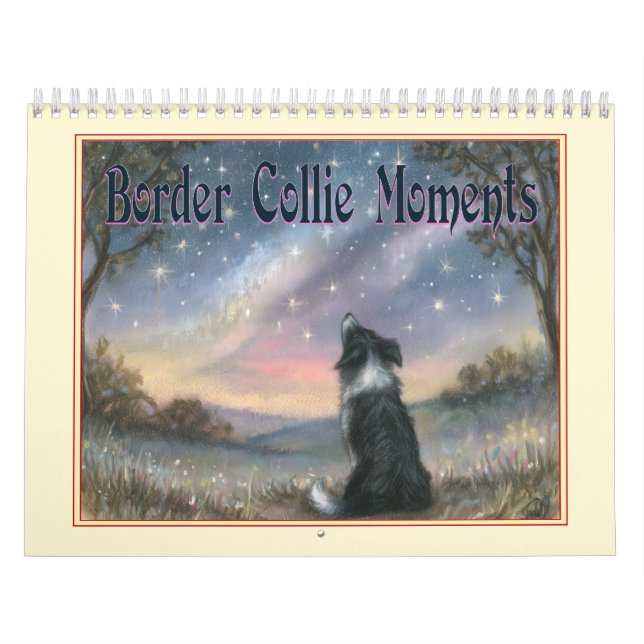 Calendário de Parede de Cães Border Collie Contemp (Capa)